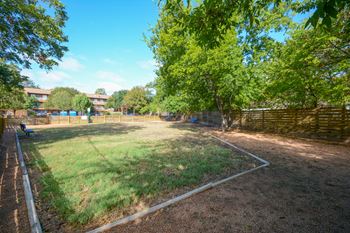 Fully fenced dog park